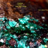 Dioptasa.
2´784 x 2´288 mm.
(Autor: Jesus Franquesa Baucells)