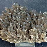 Yeso
13 x 7.5 cm
(Autor: Pedro Antonio)