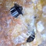 (Autor: Cristalino)