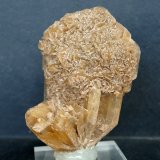 Yeso
8.5 x 6 cm
(Autor: Pedro Antonio)
