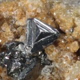 Tetraedrita
Cristal 1 mm
(Autor: Jorgina-Agusti-Màrius)