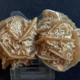 Yeso (variedad rosa de yeso)
8.5 x 5.5 cm
(Autor: Pedro Antonio)