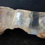 yeso
17.5 x 8 cm
(Autor: Pedro Antonio)