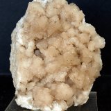 Celestina
9 x 6.5 cm
(Autor: Pedro Antonio)