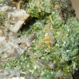 Pumpellita, epidota
2 x 2 cm encuadre de la foto
(Autor: Jordi Franco)