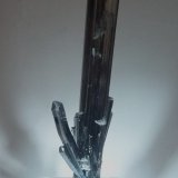 Antimonita.
70x15 mm
(Autor: Jesus Franquesa Baucells)