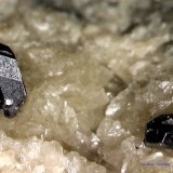 Galena.
0´975 x 0´373 mm.
(Autor: Jesus Franquesa Baucells)