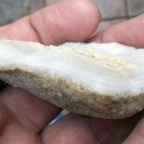 Cuarzo (variedad calcedonia)
6 x 3,5 cm
(Autor: Cristalino)