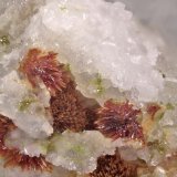 Carminita
Roseta del centro 1 mm
(Autor: Jorgina-Agusti-Màrius)