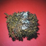 Cobre
70x60 mm.
(Autor: Jesus Franquesa Baucells)
