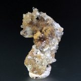 Celestina
5 x 3 cm.
(Autor: Antonio P. López)