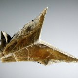 Yeso
4 x 3 cm.
(Autor: Antonio P. López)