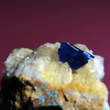 Linarita
Cristal de 6 mm.
(Autor: Antonio P. López)