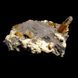 Celestina
8 x 5 cm.
(Autor: Antonio P. López)