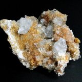 Celestina
6 x 6 cm
(Autor: Antonio P. López)