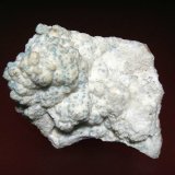 Celestina
8 x 6 cm.
(Autor: Antonio P. López)