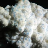 Celestina
Campo de visión 4 cm.
(Autor: Antonio P. López)