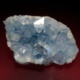 Celestina
8 x 5 cm.
(Autor: Antonio P. López)