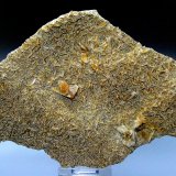 Yeso
16 x 11 cm.
(Autor: Antonio P. López)