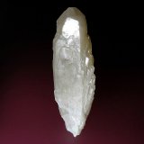 Celestina
10 x 4 cm.
(Autor: Antonio P. López)