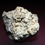 Celestina
8 x 6 cm.
(Autor: Antonio P. López)