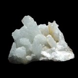 Celestina
6 x 5 cm.
(Autor: Antonio P. López)