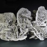 Yeso
23 x 13 cm.
(Autor: Antonio P. López)