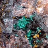 Brochantita
Campo de visión 3,5 cm.
(Autor: Antonio P. López)