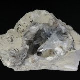 Celestina
6 x 3 cm.
(Autor: Antonio P. López)