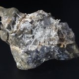 Celestina
8 x 4 cm.
(Autor: Antonio P. López)