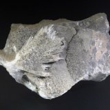 Celestina
9 x 5 cm.
(Autor: Antonio P. López)