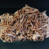Yeso
8 x 5 cm.
(Autor: Antonio P. López)