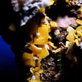 Wulfenita
Cristal central de 2 cm.
(Autor: Antonio P. López)