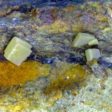 Wulfenita
Campo de visión 16 mm.
(Autor: Antonio P. López)