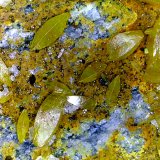 Wulfenita
Campo de visión 12 mm.
(Autor: Antonio P. López)