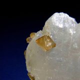 Scheelita en Cuarzo
Cristal de 0,7 cm.
(Autor: Antonio P. López)
