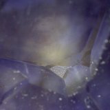 Fluorita
60X
(Autor: prcantos)