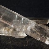 Yeso
9 x 3.5 cm
(Autor: Pedro Antonio)