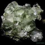 Fluorita.
80x70 mm.
(Autor: Jesus Franquesa Baucells)