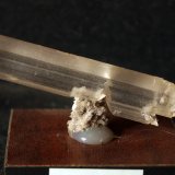 Yeso
6 x 2 cm
(Autor: Pedro Antonio)