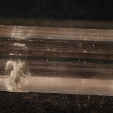 Yeso
9.5 x 3.5 cm
(Autor: Pedro Antonio)