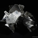 Wolframita y Fluorita.
74x65 mm.
(Autor: Jesus Franquesa Baucells)