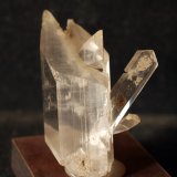 Yeso
4.5 x 3.5 cm
(Autor: Pedro Antonio)