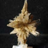 Yeso
8 x 4 cm
(Autor: Pedro Antonio)