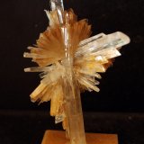 Yeso
8.5 x 6.5 cm
(Autor: Pedro Antonio)