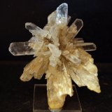 Yeso
9 x 7 cm
(Autor: Pedro Antonio)