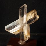 Yeso
7 x 6.5 cm
(Autor: Pedro Antonio)