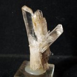 Yeso
7 x 5 cm
(Autor: Pedro Antonio)