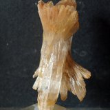 Yeso
9 x 4.5 cm
(Autor: Pedro Antonio)