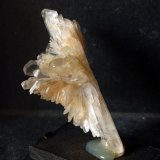 Yeso
9 x 4 cm
(Autor: Pedro Antonio)